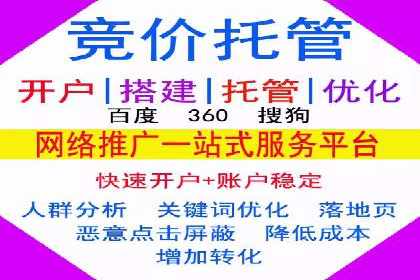 案例解析：SEM投放助力电商增长